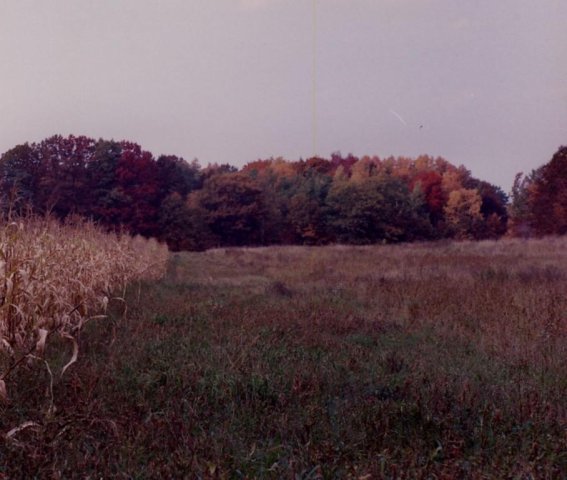 Spencer Cornfield 89